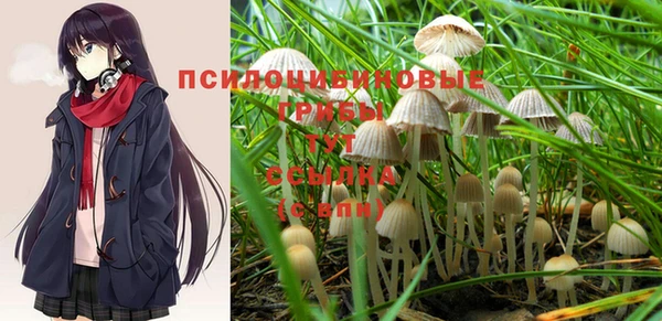 гидра Абинск