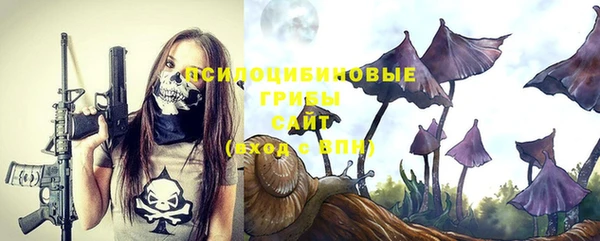 apvp Абдулино